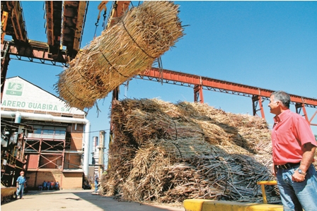 Guabira-aumenta-su-produccion-un-15%-y-lanzara-whisky-y-vodka-al-mercado