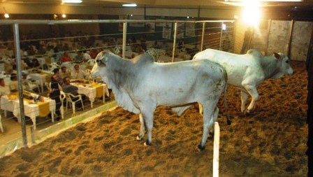 La-Feria-de-San-Ignacio-preve-generar-$us-1-millon-