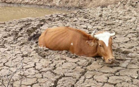 Bolivia-conmemora-el-Dia-de-la-Madre-Tierra-en-medio-de-graves-impactos-por-cambio-climatico