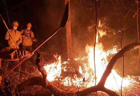 Incrementa-el-fuego-existen-51-incendios-activos-en-15-municipios