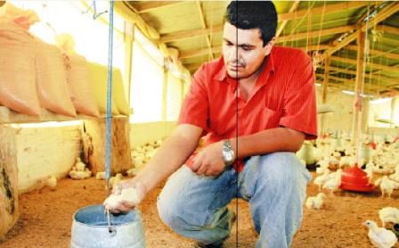 MAIRANA-ante-una-grave-crisis-avicola