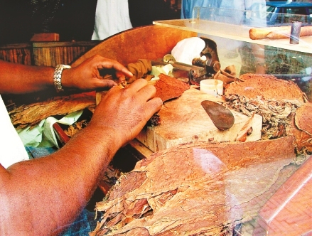 Partes-del-cigarro