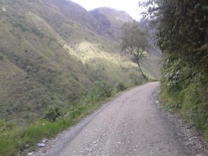 Yungaro-300x225.jpg