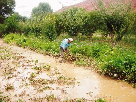 Millonaria-dotacion--a-municipios-del-pais