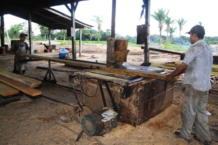 Produccion-maderera-en-Santa-Rosa-se-desploma
