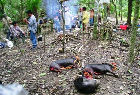 Protesta por invasión de colonos y tala en El Choré Ref. Fotografia: Avasallamientos. La reserva es netamente forestal por lo cual el asentamiento de personas es ilegal