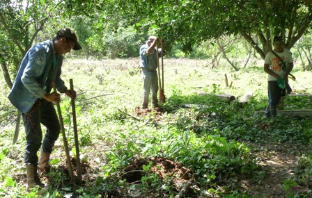 Proyecto-apicola,-destinan-mas-de-Bs-373-mil-a-comunidades-guaranies-