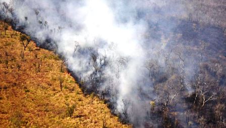 4.2 millones de hectáreas fueron consumidas por el fuego
