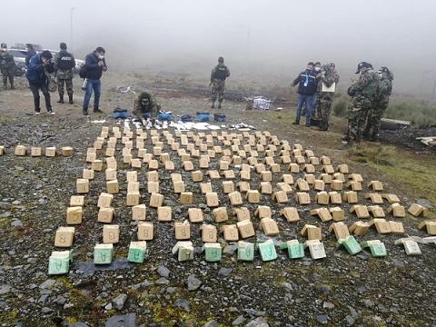 Incineran más de 218 kilos de droga en los Yungas