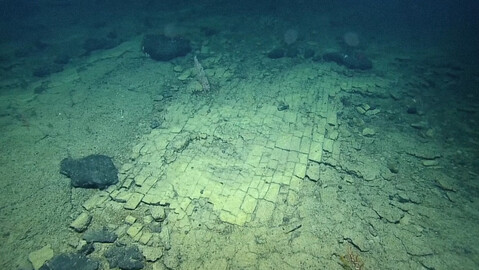 ¿'El camino a la Atlántida'?: científicos encuentran un raro 'sendero de ladrillos amarillos' en el fondo del océano Pacífico