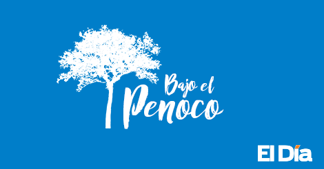 El falso gurú de los pobres