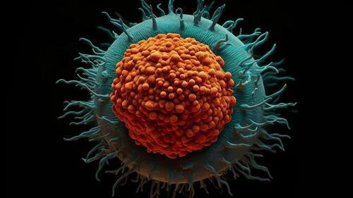 Las bacterias podrían funcionar como sensores para detectar el cáncer 