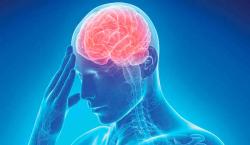 El rol vital de la familia tras un accidente cerebrovascular