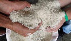 Amplían el gravamen arancelario del 0% para el arroz hasta el 31 de octubre