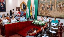 El Concejo cruceño elige siete comisiones para el último año de gestión