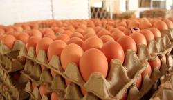 Inflación en la mesa: Aumentan los precios de harina, queso y huevo en Santa Cruz