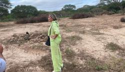 Concejales denuncian deforestación de nueve hectáreas en el cordón ecológico