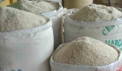Aprueban decreto para impulsar la producción de maíz y arroz con una inversión de Bs 350 millones