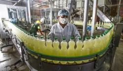 Industrias oleaginosas garantizan provisión normal de aceite a precio regulado y denuncian especulación