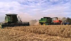 Productores claman por diésel: zafra cañera y cosechas a media máquina por escasez de combustible