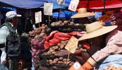 La ONU lanza advertencia sobre el riesgo de “hambruna” en Bolivia por el prolongado declive económico