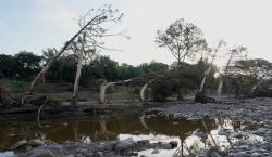 Texas bajo el agua: sube a 109 la cifra de muertos y continúa la búsqueda de desaparecidos