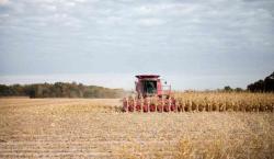 La nueva jugada de EE.UU.: Prohibición a inversores chinos en tierras agrícolas