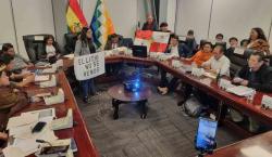 Cámara de Diputados suspende tratamiento de un contrato del litio tras tensos incidentes