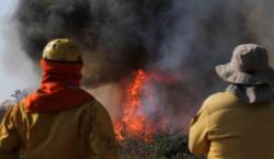 Incendios forestales en Bolivia: el sorprendente 90% son causados por la mano del hombre, revela auditoría