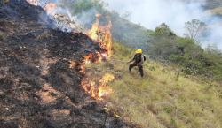Declaran Alerta Amarilla en Santa Cruz por inicio de la época crítica de incendios forestales