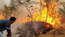El Gobierno alerta sobre más de 1.500 focos de calor y 13 incendios en Santa Cruz