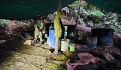 Chapare: 20 fábricas de droga destruidas en un día
