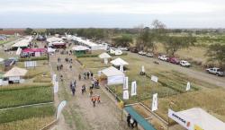 Se viene el Día Nacional del Trigo: esperan llegar este año a 120 mil toneladas