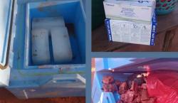 Vacunas contra el sarampión en Santa Cruz fueron reemplazadas por carne en termo de seguridad