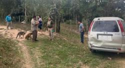 Violento atraco en Buena Vista: maniatan a una familia y huyen en camioneta robada