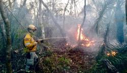 El Carmen Rivero Torrez y San Ignacio de Velasco se declaran en desastre por incendios forestales