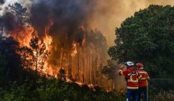 Un héroe caído: Muere bombero en Portugal luchando contra devastadores incendios