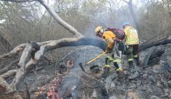 Incendios afectaron más de 74 mil hectáreas en dos áreas protegidas de Santa Cruz