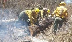 Gobernación cruceña declara Alerta Roja por incendios forestales