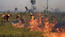 Tribunal Agroambiental exige a autoridades un informe urgente sobre prevención de incendios