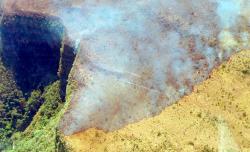 Defensoría denuncia ineficiencia estatal en el control del incendio en el Parque Noel Kempff