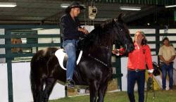 Frisón, la raza equina europea debuta en la Expocruz 2025 y es una de las grandes atracciones