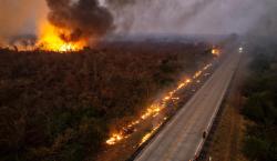 Gobierno asegura que incendios forestales ya afectaron más de 740 mil hectáreas en Bolivia: aunque menor que en 2024, la situación sigue siendo grave