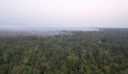 Reportan 24 incendios activos en siete municipios de Santa Cruz