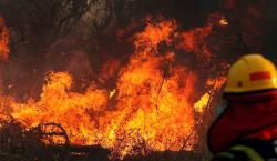 Bolivia perdió 9% de bosques húmedos tropicales por los incendios forestales de 2024, según informe internacional