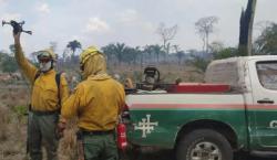 Incendios se reducen a la mitad y la cantidad de hectáreas afectadas sube a 216 mil