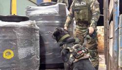 Can “Vitto” detecta marihuana oculta en tanques de plástico durante operativo antinarcóticos
