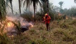 Tres incendios en Santa Cruz y Oruro: Defensa Civil asegura que la situación está bajo control