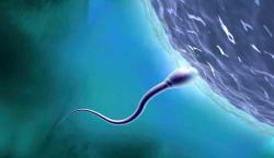 IA logra primer embarazo en caso de infertilidad masculina