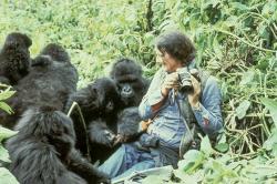 Cuando el silencio de la selva habla